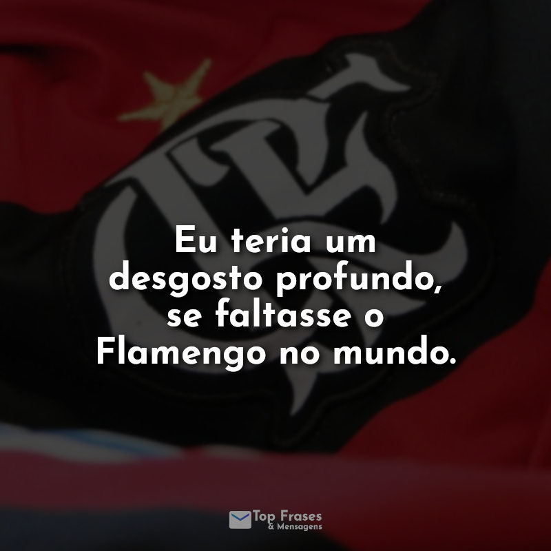 Flamengo Frases: Eu teria um desgosto.