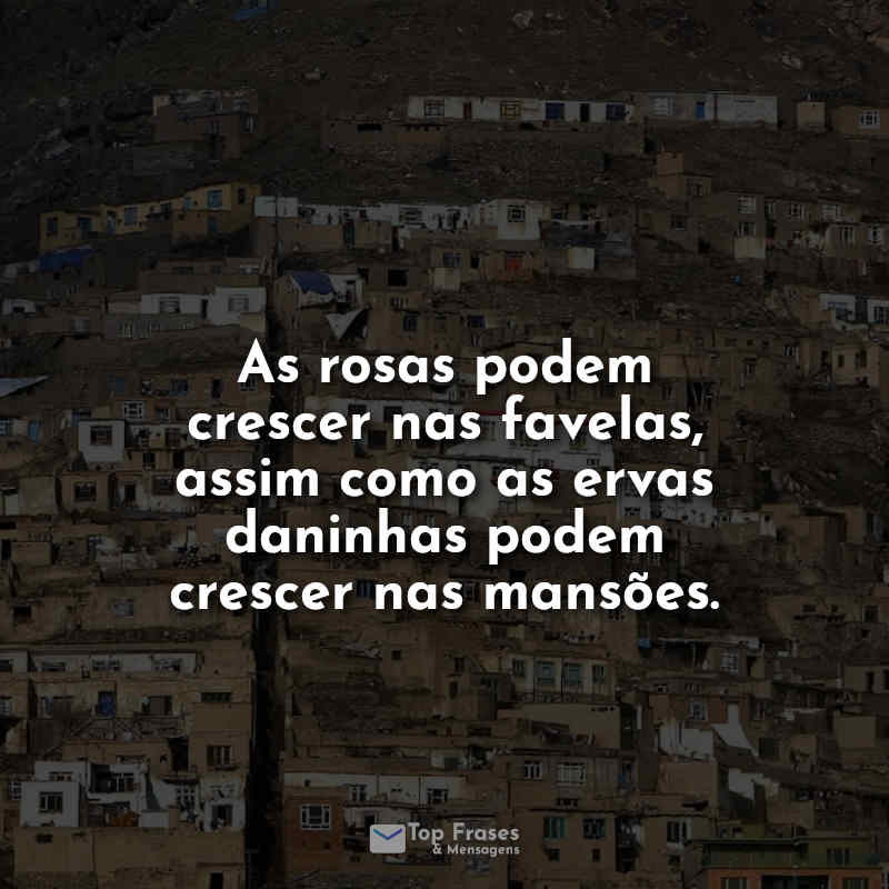 Frases de Favela: As rosas podem crescer.