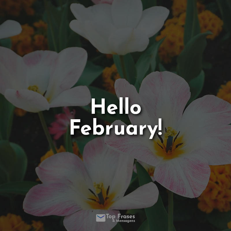 Hello February! Frase..