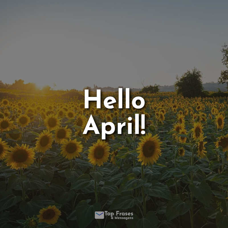 Hello April! Frase.