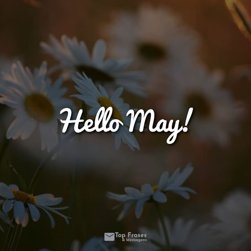 Frases: Hello May!
