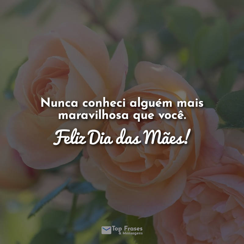 Frases para o dia das mães: Nunca conheci.