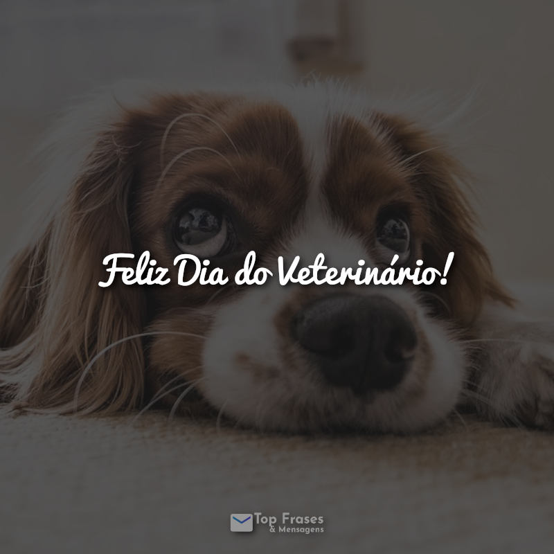 Frases Feliz Dia do Veterinário!