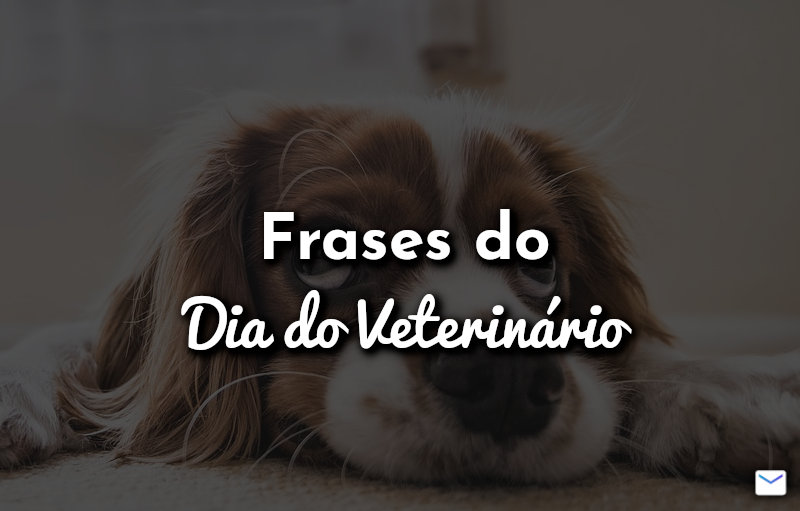 Frases do Dia do Veterinário