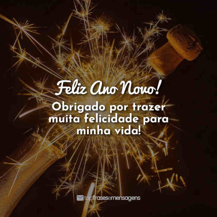 Frases de ano novo curtas: Feliz Ano Novo! Obrigado por trazer muita felicidade para minha vida!