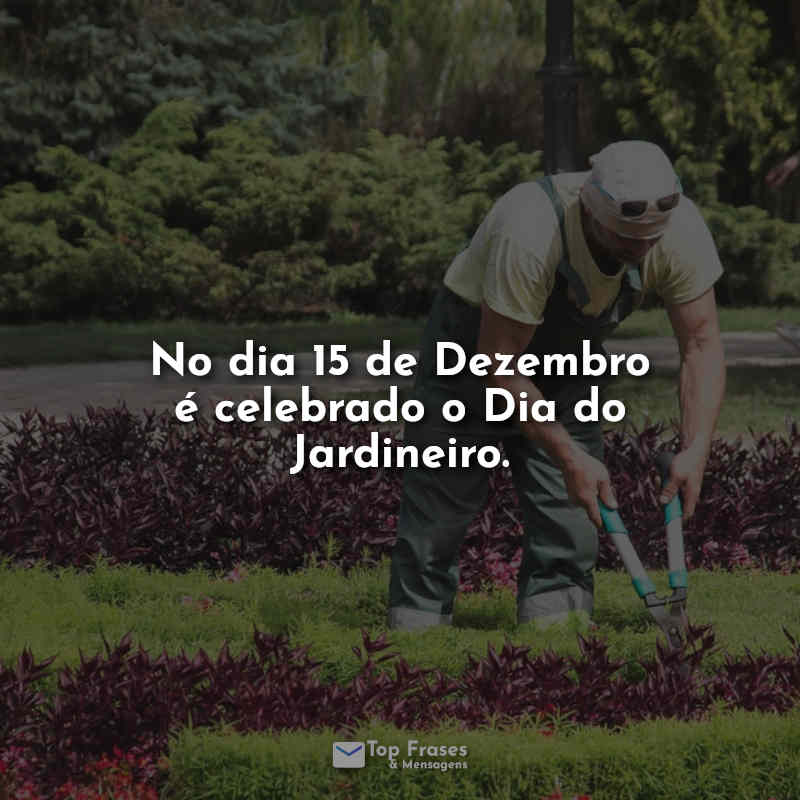 No dia 15 de Dezembro é celebrado o Dia do Jardineiro. Frases.