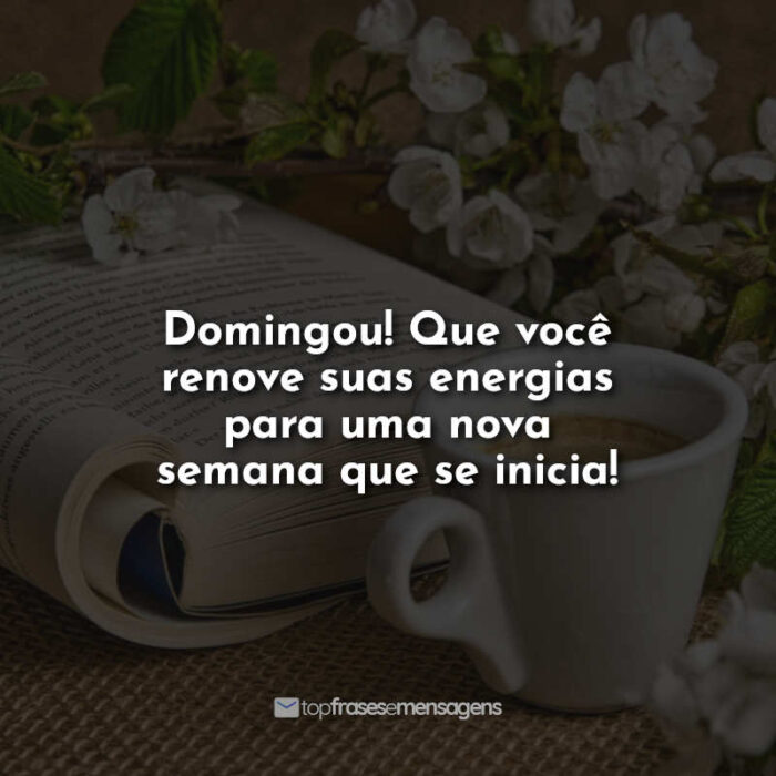 Domingou! Que você renove suas energias para uma nova semana que se inicia!