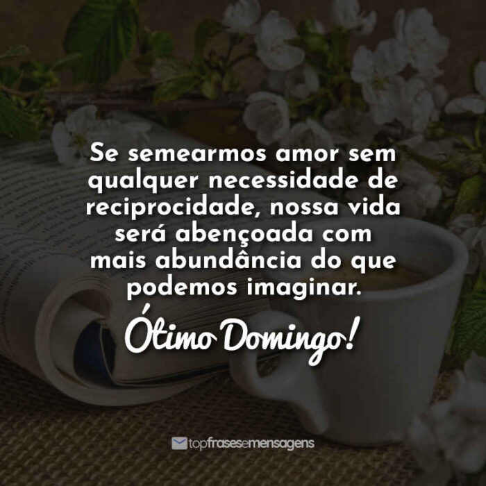 Se semearmos amor sem qualquer necessidade de reciprocidade, nossa vida será abençoada com mais abundância do que podemos imaginar. Ótimo domingo!