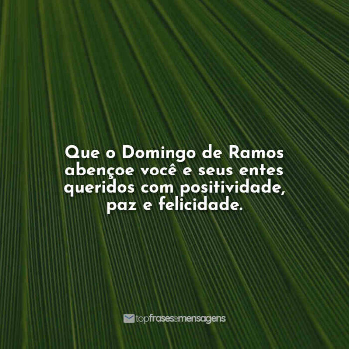 Que o Domingo de Ramos abençoe você e seus entes queridos com positividade, paz e felicidade.