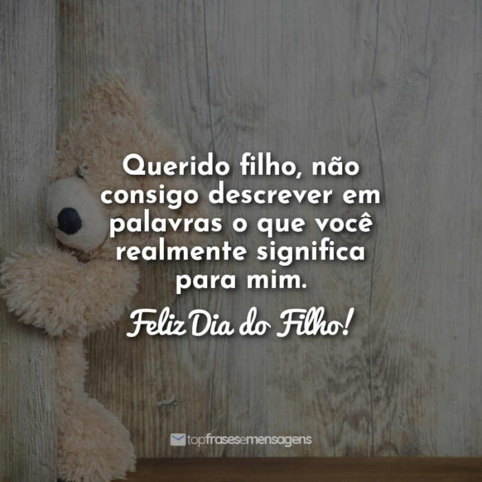 Querido filho, não consigo descrever em palavras o que você realmente significa para mim. Feliz Dia do Filho!