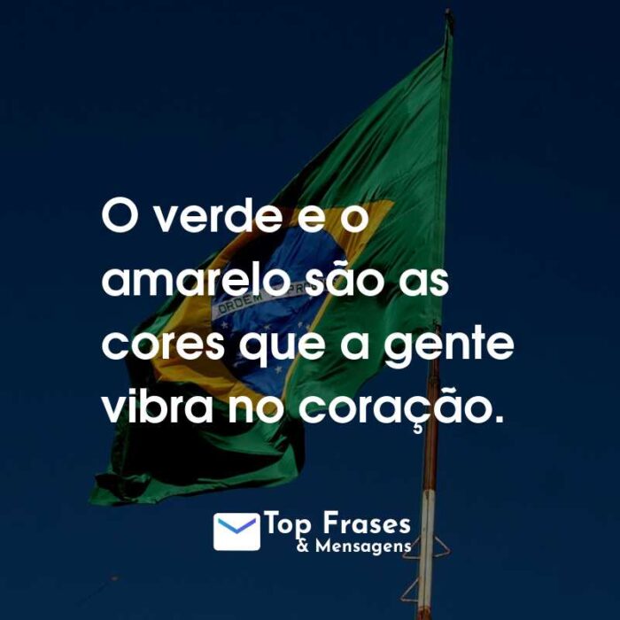 O verde e o amarelo são as cores que a gente vibra no coração.