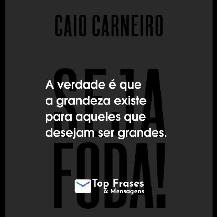 Frases do Livro Seja Foda! A verdade é que a grandeza existe para aqueles que desejam ser grandes.