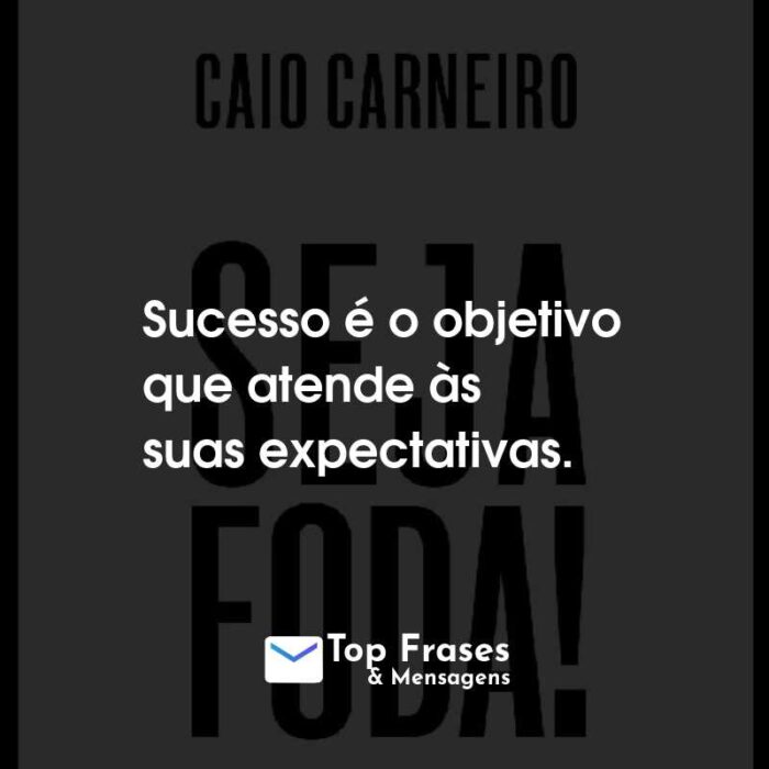 Frases do Livro Seja Foda! Sucesso é o objetivo que atende às suas expectativas.