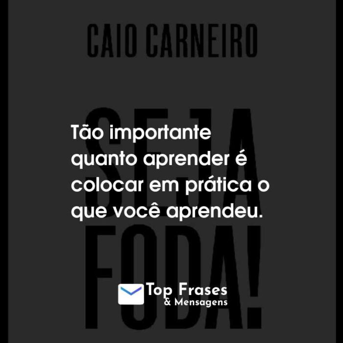 Frases do Livro Seja Foda! Tão importante quanto aprender é colocar em prática o que você aprendeu.