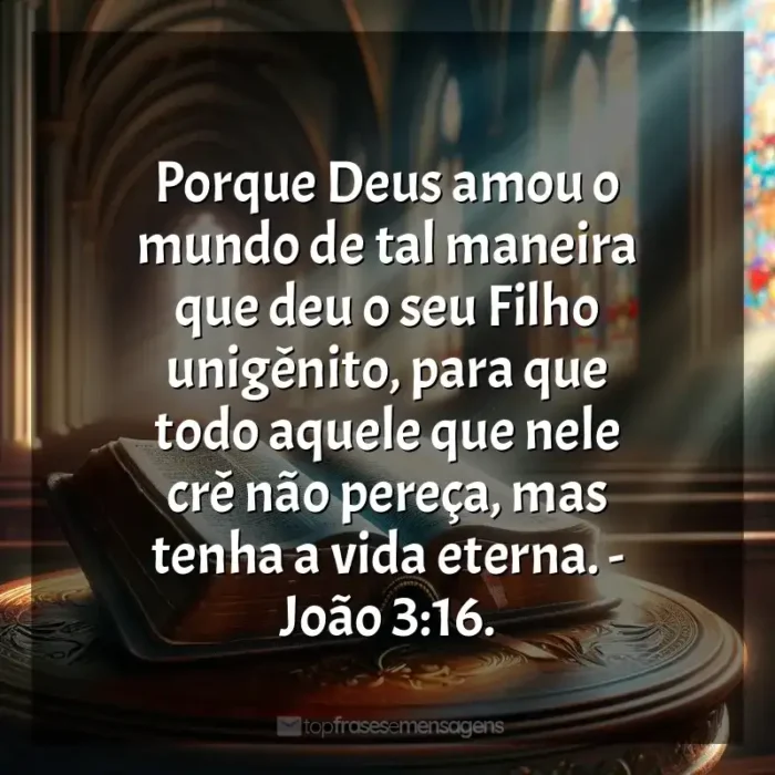 Livros Bíblia Sagrada frases: Porque Deus amou o mundo de tal maneira que deu o seu Filho unigênito, para que todo aquele que nele crê não pereça, mas tenha a vida eterna. - João 3:16.