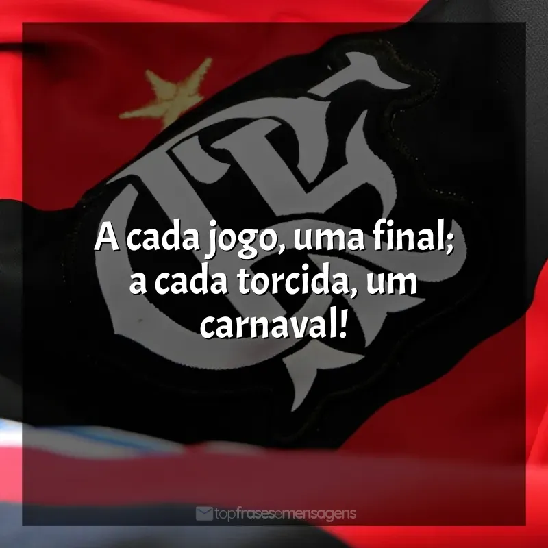 Frases do Clube de Regatas do Flamengo: A cada jogo, uma final; a cada torcida, um carnaval!