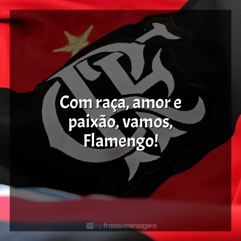 Frases de Clube de Regatas do Flamengo: Com raça, amor e paixão, vamos, Flamengo!