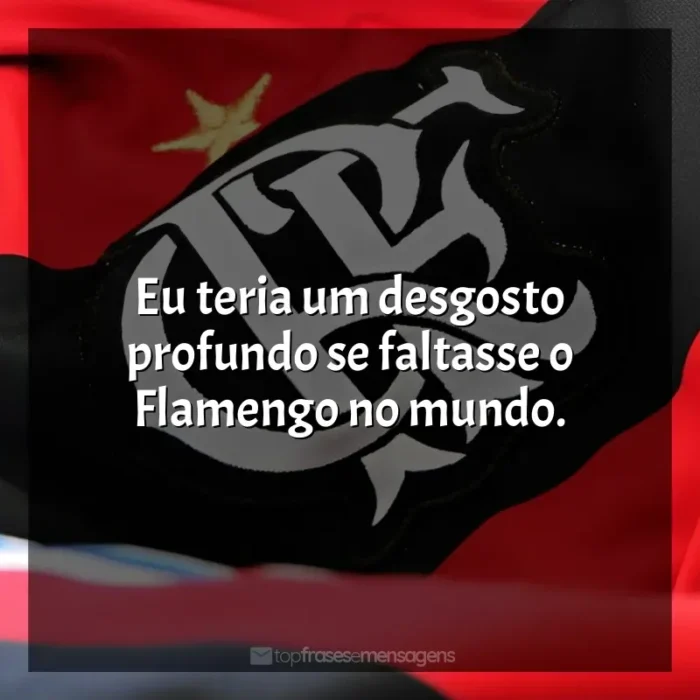 Clube de Regatas do Flamengo frases: Eu teria um desgosto profundo se faltasse o Flamengo no mundo.