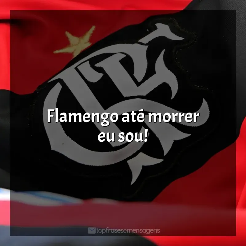 Frase da final do Flamengo: Flamengo até morrer eu sou!