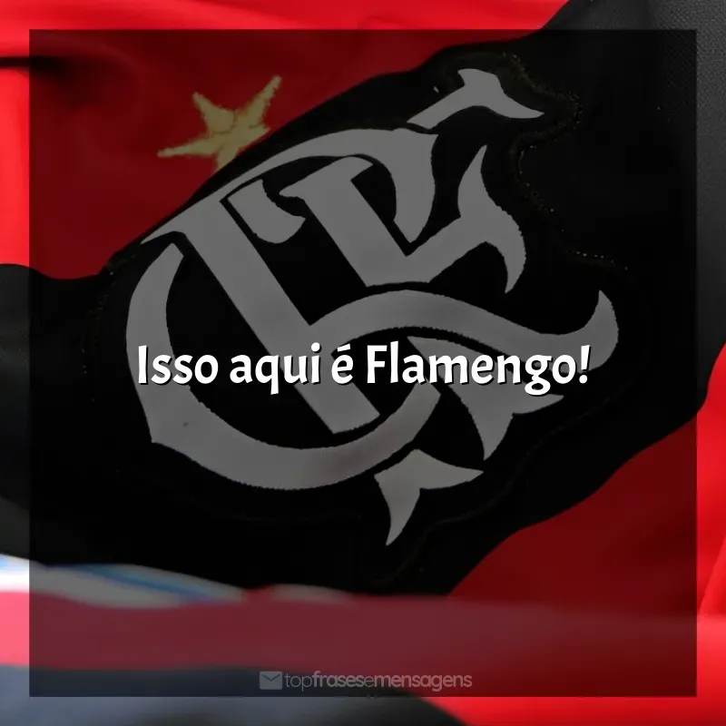 Frases de efeito do Clube de Regatas do Flamengo: Isso aqui é Flamengo!
