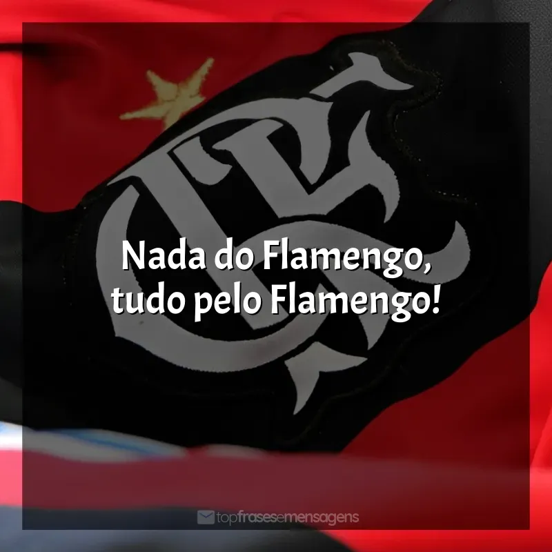 Frases Clube de Regatas do Flamengo: Nada do Flamengo, tudo pelo Flamengo!