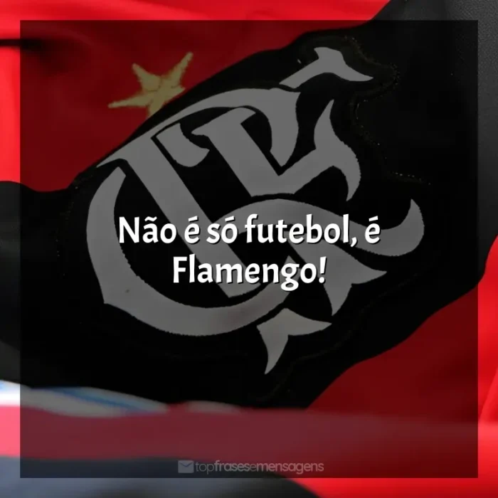 Frases de Clube de Regatas do Flamengo: Não é só futebol, é Flamengo!