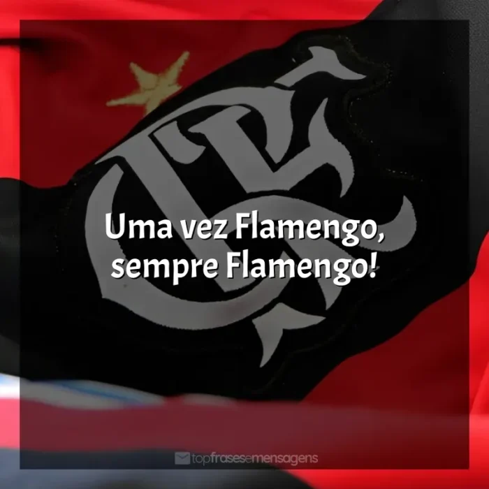 Frases de efeito do Clube de Regatas do Flamengo: Uma vez Flamengo, sempre Flamengo!