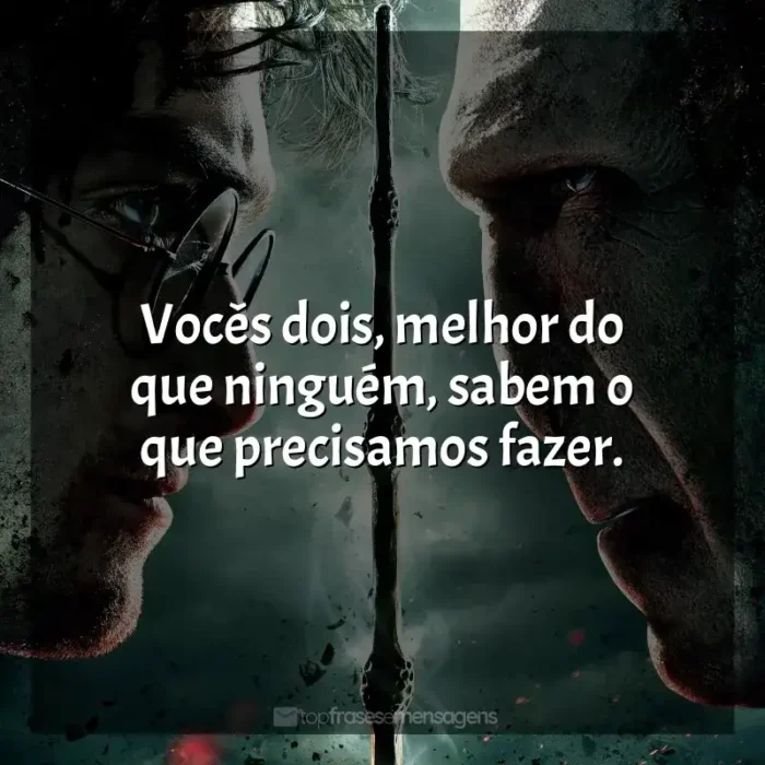 Frases de efeito do filme Harry Potter e as Relíquias da Morte - Parte 2: Vocês dois, melhor do que ninguém, sabem o que precisamos fazer.