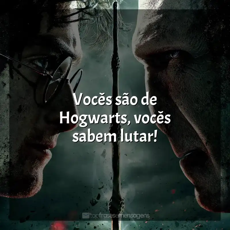 Frases do Filme Harry Potter e as Relíquias da Morte - Parte 2: Vocês são de Hogwarts, vocês sabem lutar!