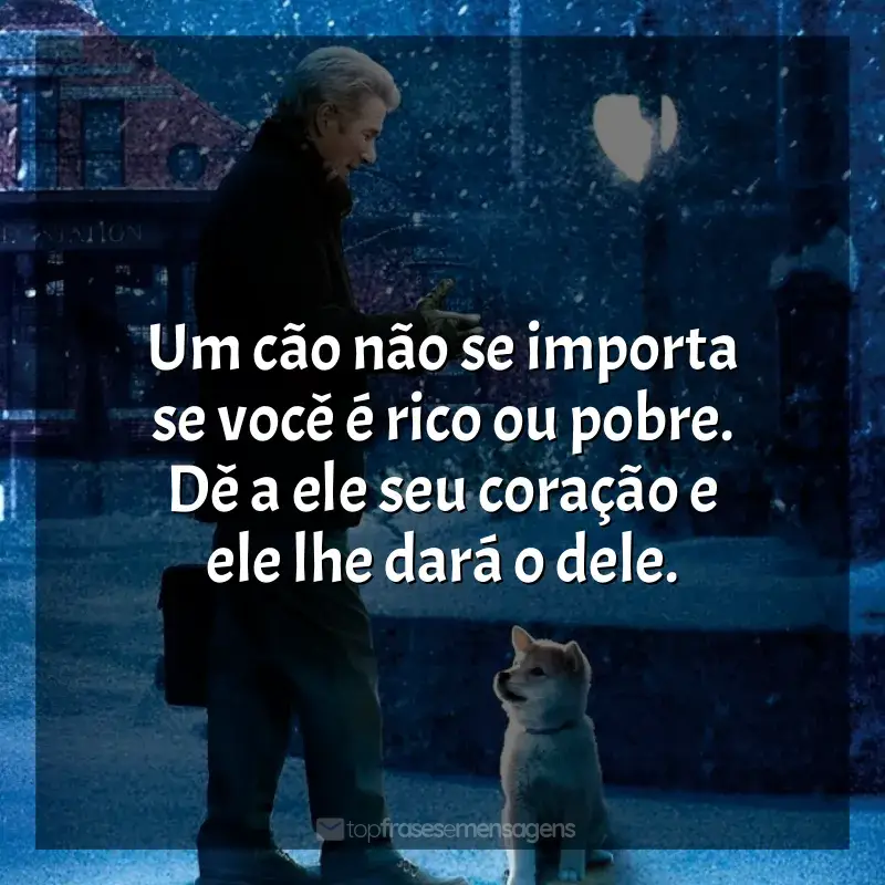 Frase final do filme Sempre ao Seu Lado: Um cão não se importa se você é rico ou pobre. Dê a ele seu coração e ele lhe dará o dele.